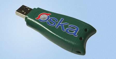 Akıllı bellek F