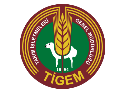 Tigem