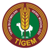 Tigem